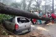NHAI Refuses Compensation for Apple Orchard Damage, Calls Landslides 'Act of God'