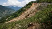 NHAI to Pay Rs 1.80 Crore Compensation for Shimla Orchard Damage After 'Act of God' Claim