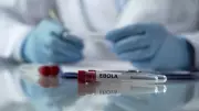No Ebola Case in India, Health Ministry Officials Confirm