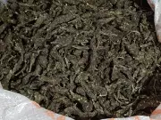Odisha Police Suspends IIC for Ganja Smugglers Links, 2 Others Suspended