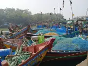 Odisha to provide Rs 1,500 monthly compensation to 12,000 marine fishermen during fishing ban