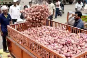Onion Prices Surge 20% in Nashik APMCs Due to Rising Demand