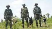 Operation Sheruwali Day 4: Forces Intensify Hunt for Terrorists in Rajouri Forests