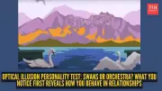 Optical Illusion Reveals Your Relationship Style: Swans or Orchestra?