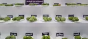 Over 250 Mango Varieties on Display at National Mango Festival in Raipur