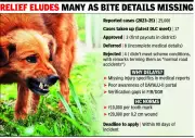 Panchkula Clears Only 3 Dog-Bite Compensation Cases Despite 25,000 Incidents