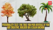 Personality Test: Tree Choice Reveals Your Hidden Talent