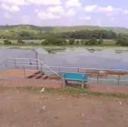 PIL Filed in Bombay HC Over Alleged Damage to Pat Wetland in Sindhudurg