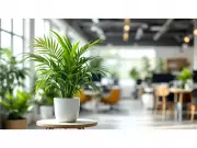 Plants' Role in Mitigating Climate Change Emphasized at Event