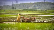 PM Kisan 23rd Instalment: Farmers Await Next Rs 2000 Tranche