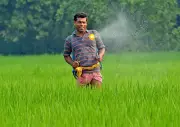 PM Modi's Fertilizer Cut Appeal Gets Mixed Response in Odisha