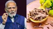PM Modi's 'Sanjeevani' Herb Solo: 4 Easy Ways to Add Rhodiola to Your Meals