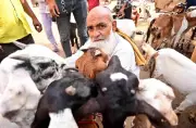 Prayagraj Police Intensifies Security for Bakrid, City Divided into 17 Sectors