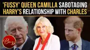 Prince Harry Blames Queen Camilla for Blocking Peace With King Charles: Report