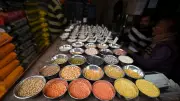 Pulses Workshop Held at Bengaluru's GKVK Campus