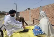 Punjab Congress chief Warring rides bullock cart to vote, protests fuel price hike