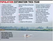 Punjab Defends Indus River Dolphin Conservation Measures Before NGT