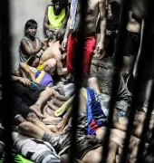 Punjab, HP Jails More Overcrowded Than National Average: NCRB Data