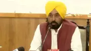 Punjab Launches Campaign Against Stray Dogs, Follows SC Order