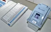 Punjab MC Polls: 1175 File Nominations on Last Day in Mohali Region
