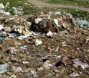 Punjab Municipal Workers' Strike Continues for Fifth Day, Garbage Piles Up