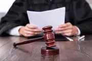 Punjab PCB Assures HC: No Coercive Action Against Trident Limited Till Monday