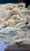 Punjab Police Seize 12 Kg Ice, 14 Kg Heroin in Major Drug Busts