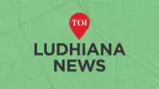 Punjab Police Team Attacked with Bricks and Blades During Drug Raid