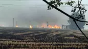 Punjab Records 267 New Stubble Burning Cases, Season Tally at 8,986
