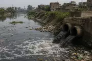 Punjab's Poisoned Canals and Environmental Governance Crisis