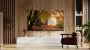 QLED vs LED TVs in India: Technology Differences and Consumer Guide 2026