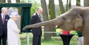 Queen Elizabeth II and Prince Philip Feeding Elephant Donna: A Rare Human Side of Royalty