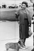 Queen Elizabeth II's Lifelong Love Affair with Corgis: A Royal Phenomenon