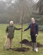 Queen's Green Canopy: A Living Tribute for Platinum Jubilee