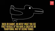 Rabbit-Duck Illusion: What It Reveals About Your Creativity