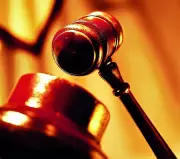 Rajasthan HC Slams State Govt Over Delayed Panchayat, Urban Body Polls