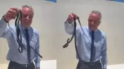 RFK Jr Picks Up Snakes on Patio in Viral Florida Video
