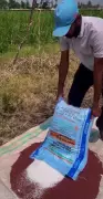 Rising Fertiliser Prices Threaten Farmers' Yields in Maharashtra