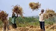 Rising Risks of a Changing Monsoon in India