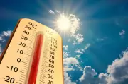 RML Hospital Admits First Heatstroke Patient of Season as Delhi Reels Under Heatwave