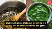 Rosemary and Curry Leaf Oil: The New Hair Slugging Trend Explained