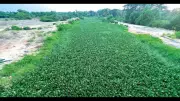 Sal river residents demand urgent de-weeding before monsoon