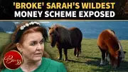 Sarah Ferguson’s Horse-Cloning Scheme To Solve Royal Money Crisis Revealed