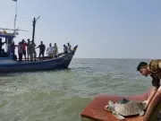 Satellite-Tagged Turtle Returns to Indian Waters After 3,500 km Arabian Sea Journey