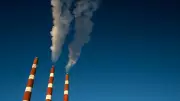 Scientists Warn Against Agri-Methane 'Temperature Neutrality' Push