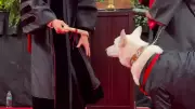 Service Dog Gets Honorary Diploma at Texas Tech Graduation Ceremony
