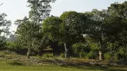 Shettihalli Sanctuary Row: CEC to Hold Talks with Forest Department