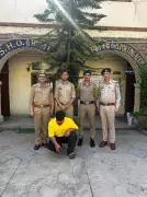 Shimla Police Arrest Chitta Supplier Near Indo-Pak Border in Punjab