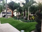 Simple Layering Trick for Professional-Looking Front Yard Borders
