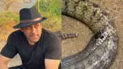 Snake Found at Salman Khan's Galaxy Apartments, Rescued Safely